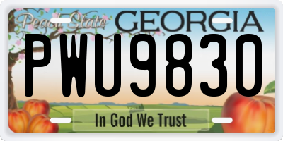 GA license plate PWU9830