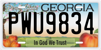 GA license plate PWU9834
