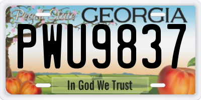 GA license plate PWU9837