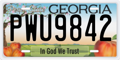 GA license plate PWU9842
