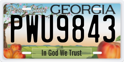 GA license plate PWU9843