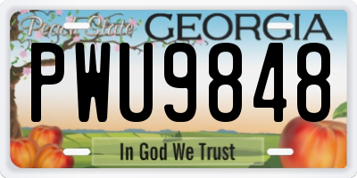 GA license plate PWU9848