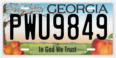 GA license plate PWU9849