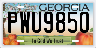GA license plate PWU9850