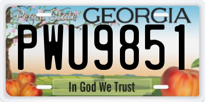 GA license plate PWU9851