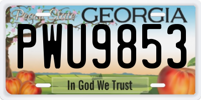 GA license plate PWU9853