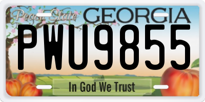 GA license plate PWU9855