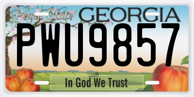 GA license plate PWU9857
