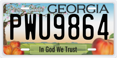 GA license plate PWU9864