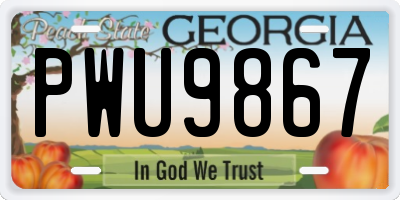 GA license plate PWU9867