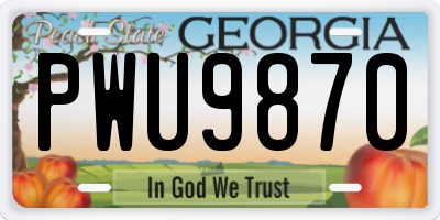 GA license plate PWU9870
