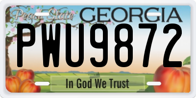 GA license plate PWU9872