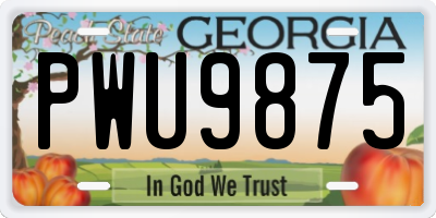 GA license plate PWU9875