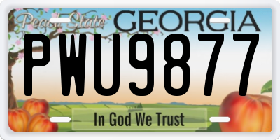 GA license plate PWU9877
