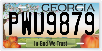 GA license plate PWU9879