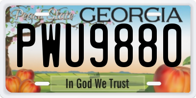 GA license plate PWU9880