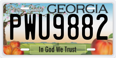 GA license plate PWU9882