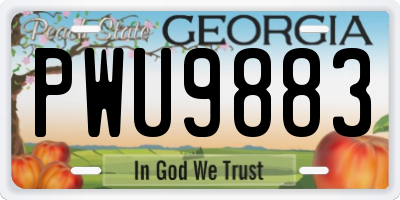 GA license plate PWU9883