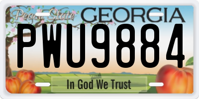 GA license plate PWU9884
