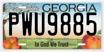 GA license plate PWU9885