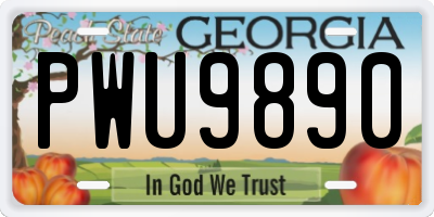 GA license plate PWU9890