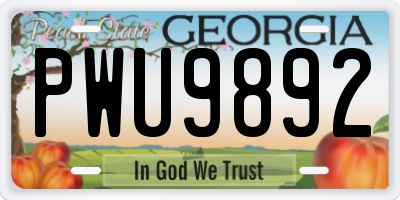 GA license plate PWU9892