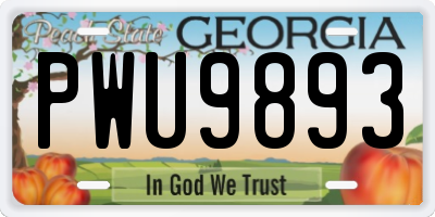 GA license plate PWU9893