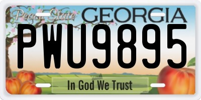 GA license plate PWU9895