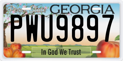 GA license plate PWU9897