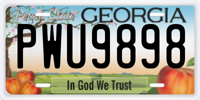 GA license plate PWU9898