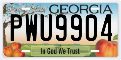 GA license plate PWU9904