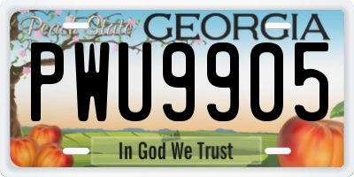 GA license plate PWU9905
