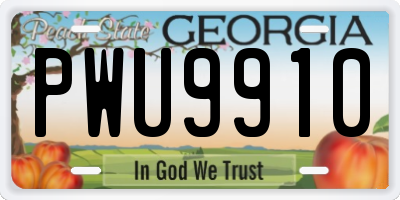 GA license plate PWU9910