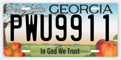 GA license plate PWU9911