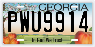 GA license plate PWU9914
