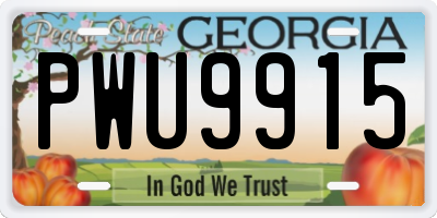GA license plate PWU9915