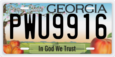 GA license plate PWU9916