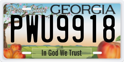 GA license plate PWU9918