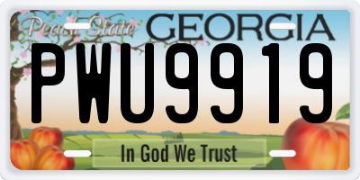 GA license plate PWU9919
