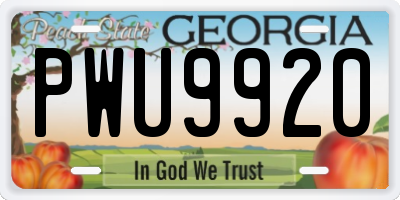 GA license plate PWU9920