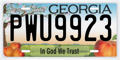 GA license plate PWU9923