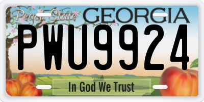 GA license plate PWU9924