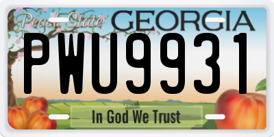 GA license plate PWU9931