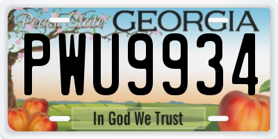 GA license plate PWU9934