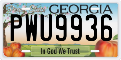 GA license plate PWU9936