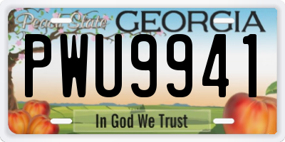 GA license plate PWU9941