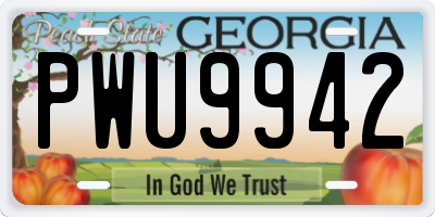 GA license plate PWU9942