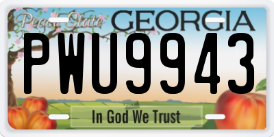 GA license plate PWU9943