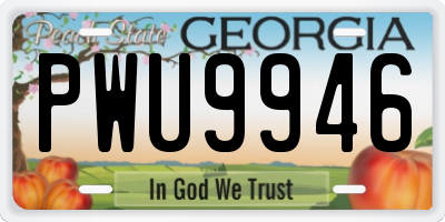 GA license plate PWU9946