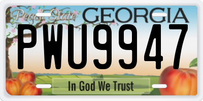 GA license plate PWU9947